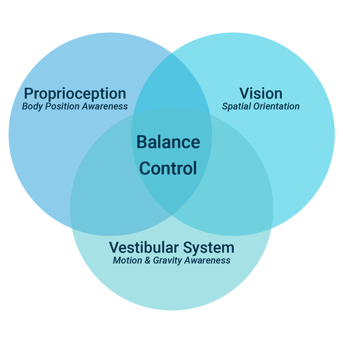 Balance Control Ven Diagram A Venn diagram illustrating the components of balance control. Three overlapping circles represent 'Proprioception' (Body Position Awareness), 'Vision' (Spatial Orientation), and 'Vestibular System' (Motion & Gravity Awareness). The overlapping center is labeled 'Balance Control,' showing the integration of these systems.