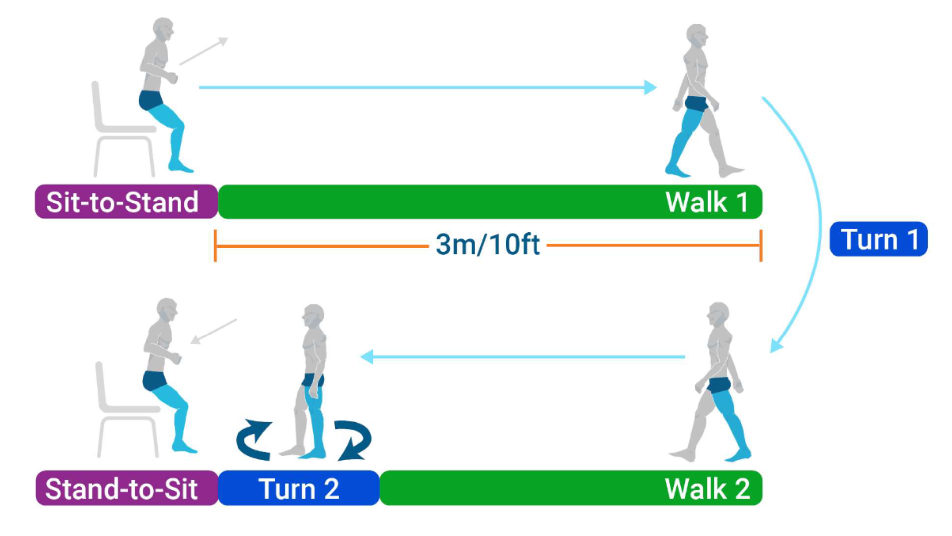 TUG Diagram Diagram of the Timed Up and Go (TUG) test showing the sequence of movements: sit-to-stand, walking 3 meters (10 feet), turning around, walking back, turning again, and returning to a seated position. Each phase is labeled: Sit-to-Stand, Walk 1, Turn 1, Walk 2, Turn 2, and Stand-to-Sit.