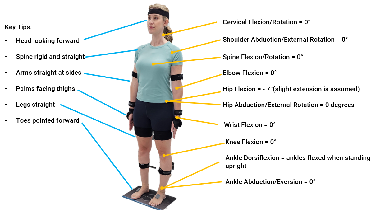 Standing Pose Requirements